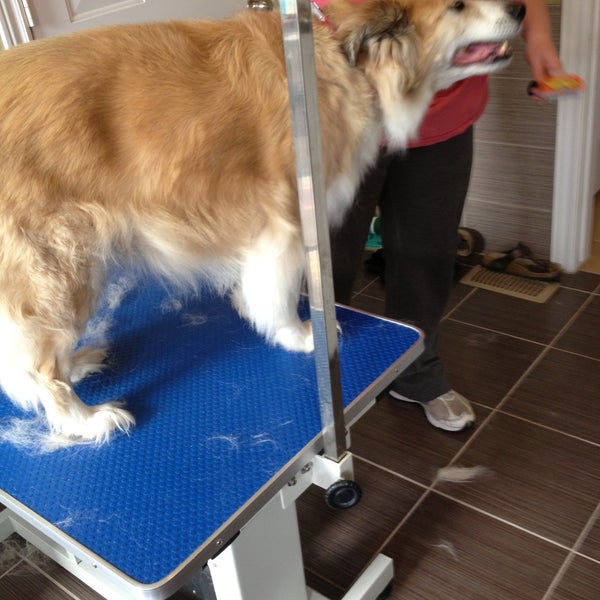 Kims Ultimutt Dog Grooming - 1 tip from 2 visitors