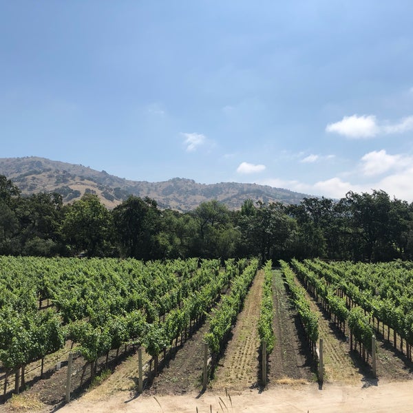 Photo taken at Stag&#39;s Leap Wine Cellars by Kelsy L. on 6/15/2019