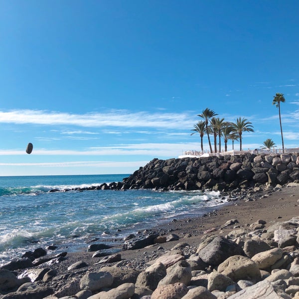 The ritz-carlton residences, waikiki beach. Puerto rico nature. Растительный мир пуэрто рико. Дорадо пуэрто рико. Терраса дорадо.