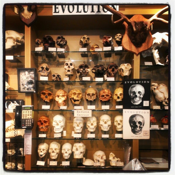 6/29/2013에 Emily K.님이 The Evolution Store에서 찍은 사진