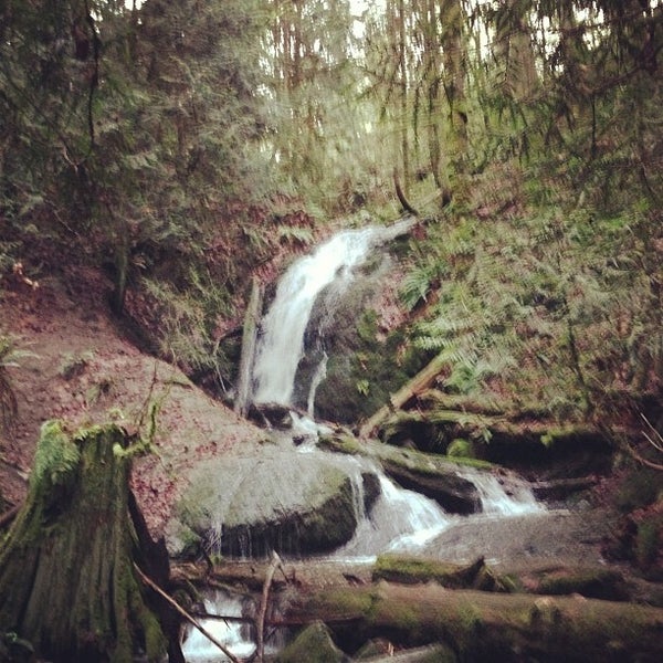 Cougar Mountain Regional Wildland - 568208 3m1V Cxxt4kldodOuhfdID8o7pjk GBGoTomwgVJL4U
