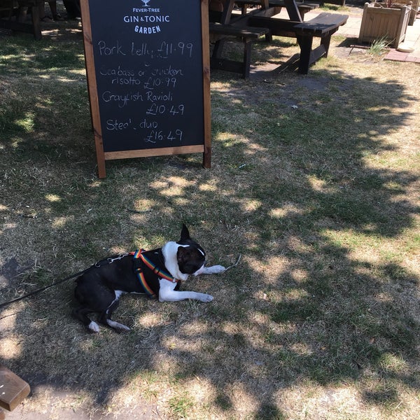 The Horns Inn Ferndown'da Pub