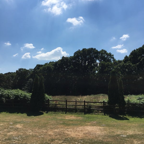 The Horns Inn Ferndown'da Pub