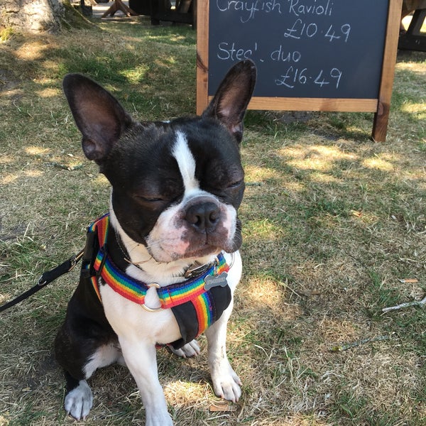 Photos at The Horns Inn Pub in Ferndown