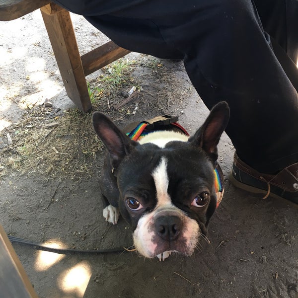 The Horns Inn Ferndown'da Pub