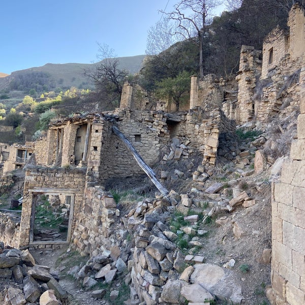 Чай Гамсутль