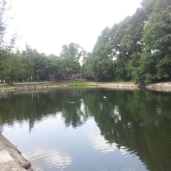 Парк сергиевка большой пруд. Нахимовский пр-т, вл. Пруд зеленка. Пруд зеленка. Пруд зеленка.
