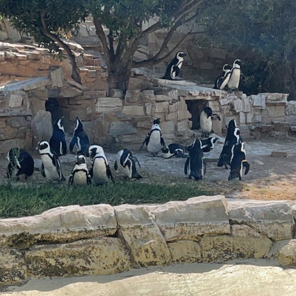 Foto diambil di Attica Zoological Park oleh saraleo pada 7/25/2023