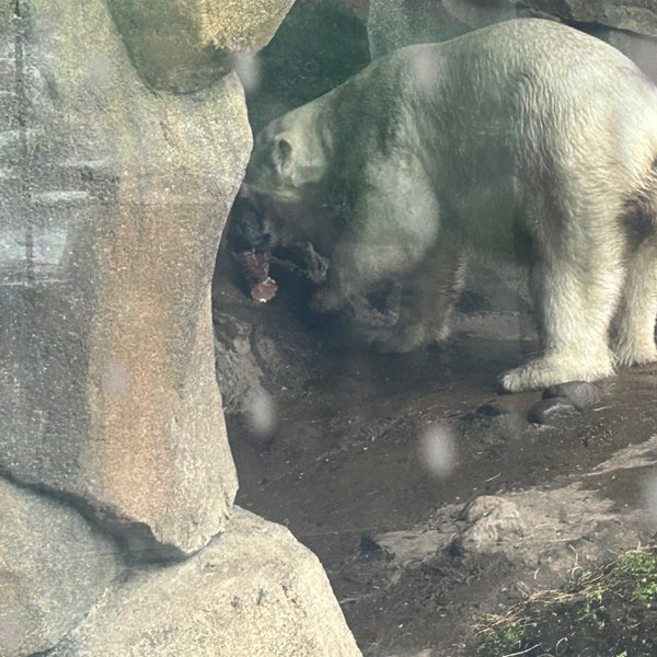 Photo taken at Lincoln Park Zoo by Shannon S. on 6/1/2024