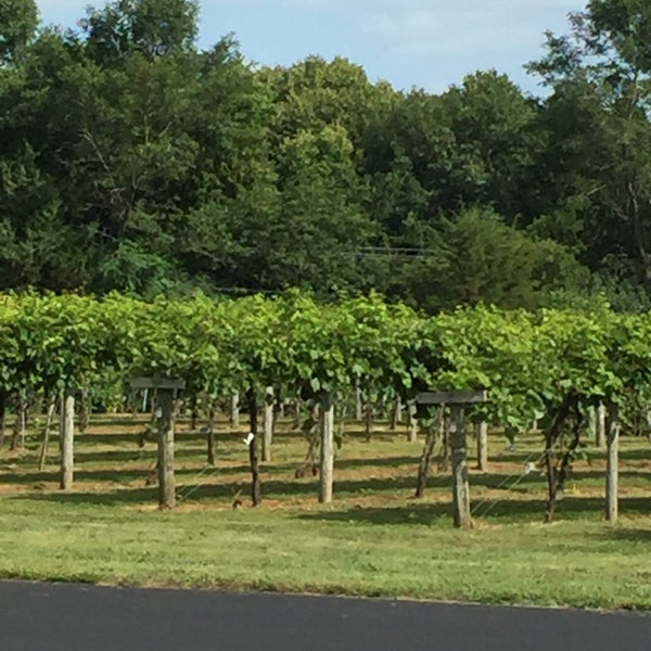 WineHaven Winery and Vineyard 10 tips from 496 visitors