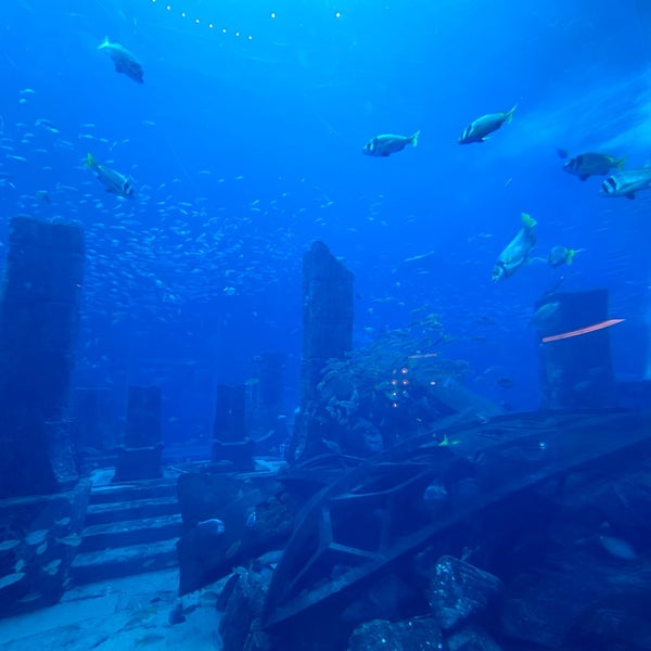 Foto tirada no(a) The Lost Chambers Aquarium por Carmen S. em 10/8/2023