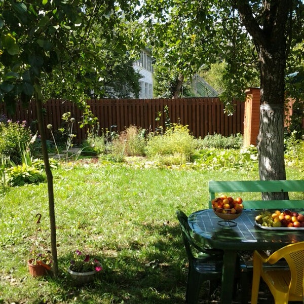 снт починки, 1. снт починок. снт починок. снт починки кленово. снт подмосковье.