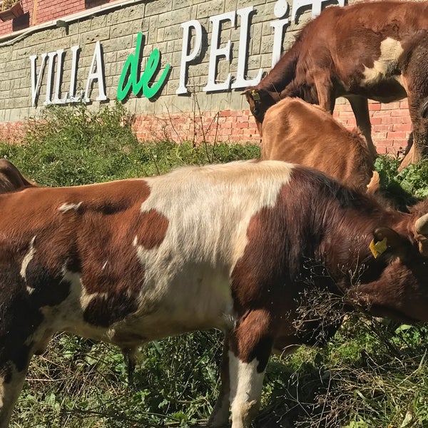 รูปภาพถ่ายที่ Villa de Pelit Otel โดย Ayder Villa de Pelit Hotel เมื่อ 10/20/2017