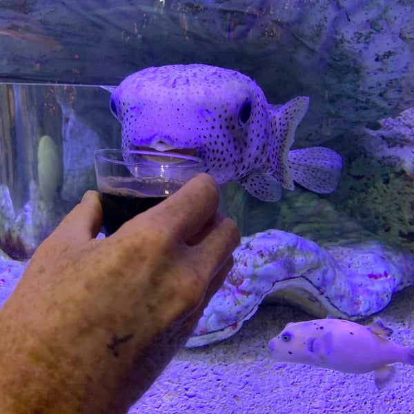Foto tomada en Ripley&#39;s Aquarium  por Lisa K. el 11/15/2019
