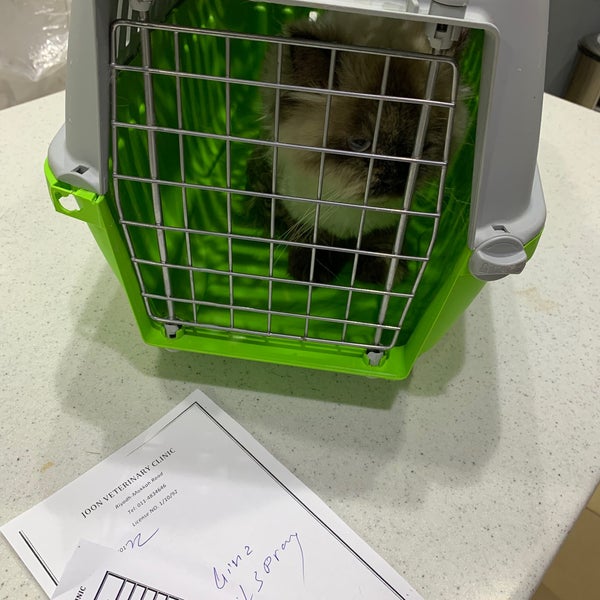 5/3/2022 tarihinde Sultan R.ziyaretçi tarafından Joon Veterinary Clinic &amp; Pet Shop'de çekilen fotoğraf
