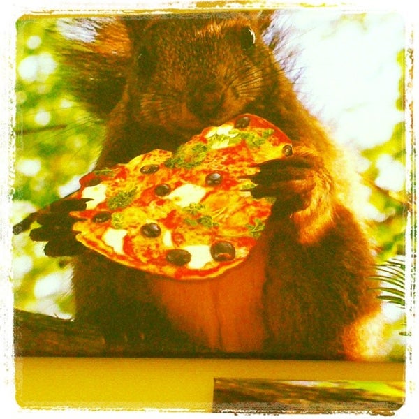 Не особо вкусно. Вкусно логотип. Не особо вкусно. Не особо вкусно. Очень вкусно надпись.