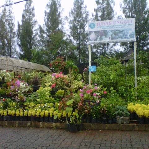 27 Tempat Wisata Di Tangerang Selatan Paling Hits Yang Wajib