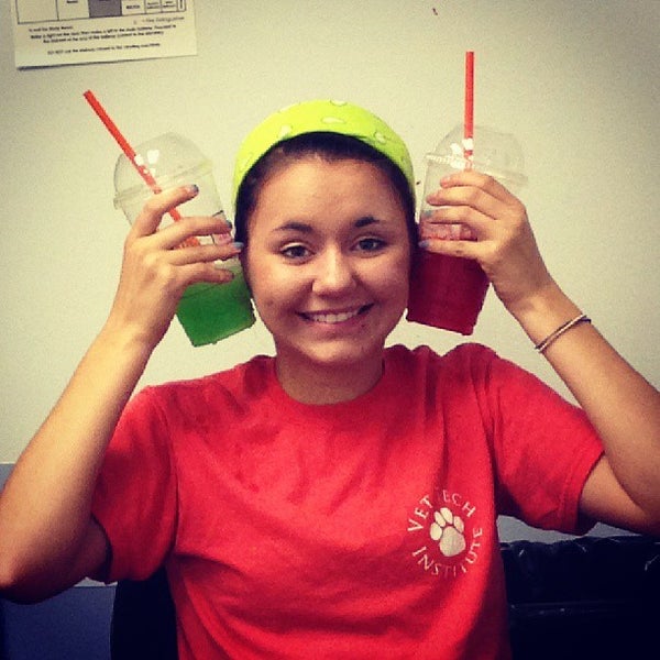 Vet Tech Institute Cultural District Pittsburgh Pa