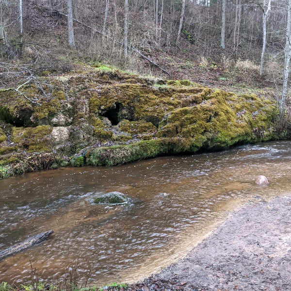 Рауна латвия