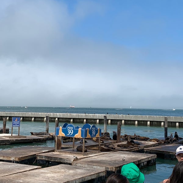 8/10/2019 tarihinde Audrey C.ziyaretçi tarafından Pier 39'de çekilen fotoğraf