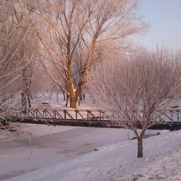 1/24/2018에 Екатерина П.님이 Антоновский парк에서 찍은 사진