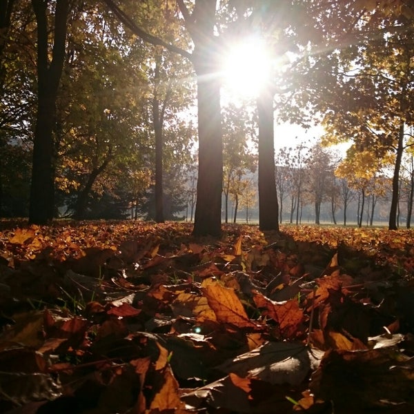 10/19/2018에 Екатерина П.님이 Антоновский парк에서 찍은 사진