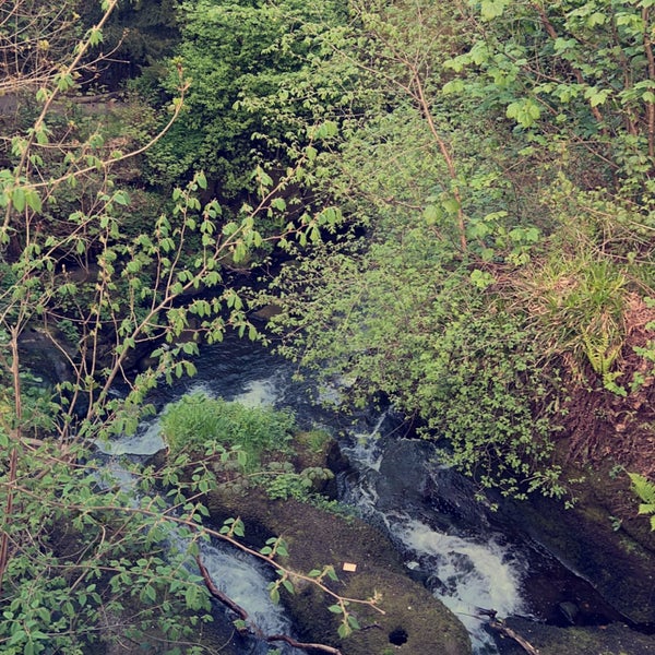 Rouken Glen Park Park in Giffnock