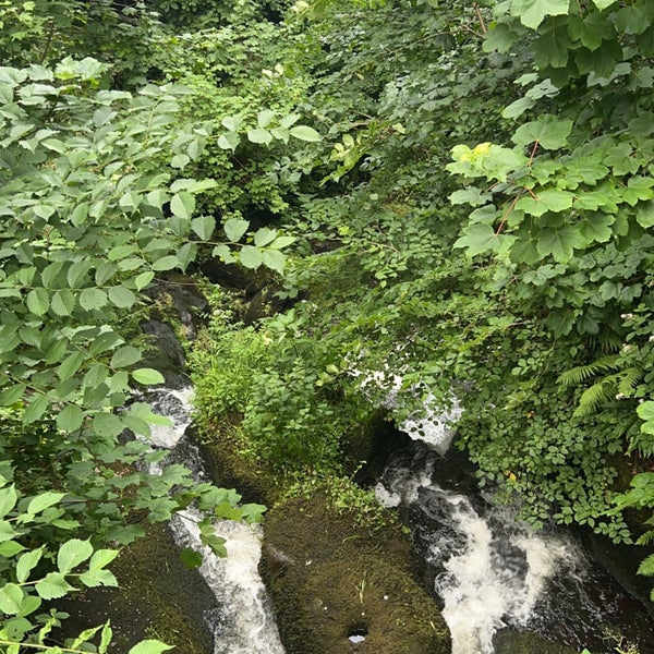 Rouken Glen Park Park in Giffnock