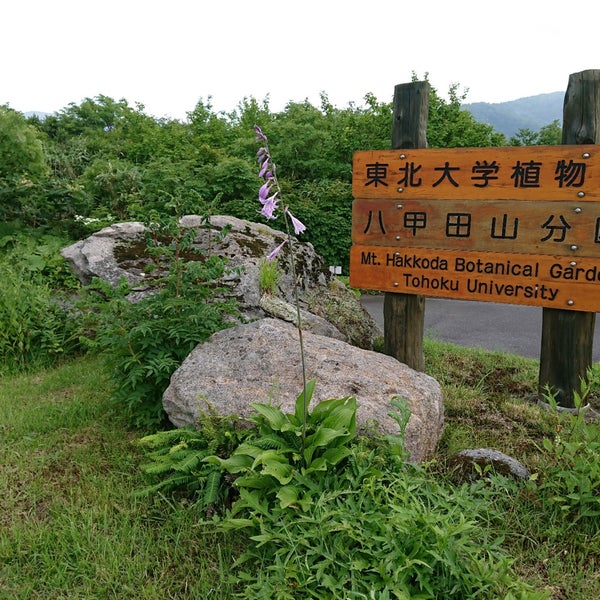 Photos At 東北大学植物園 八甲田山分園 荒川字南荒川山国有林酸ヶ湯沢