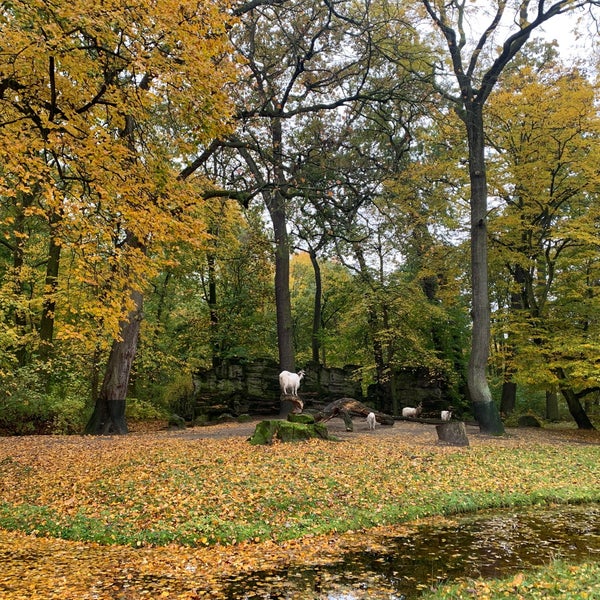 10/22/2022 tarihinde An N.ziyaretçi tarafından Tierpark Berlin'de çekilen fotoğraf