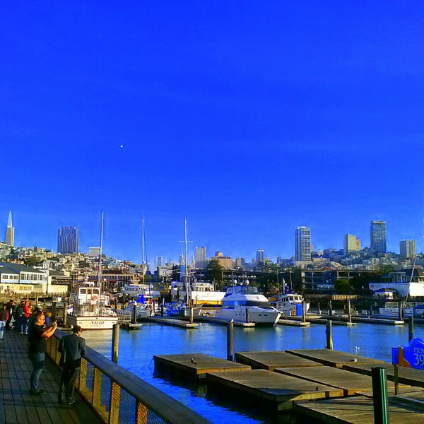 Try Whale watching or fishing at Fisherman's Wharf/