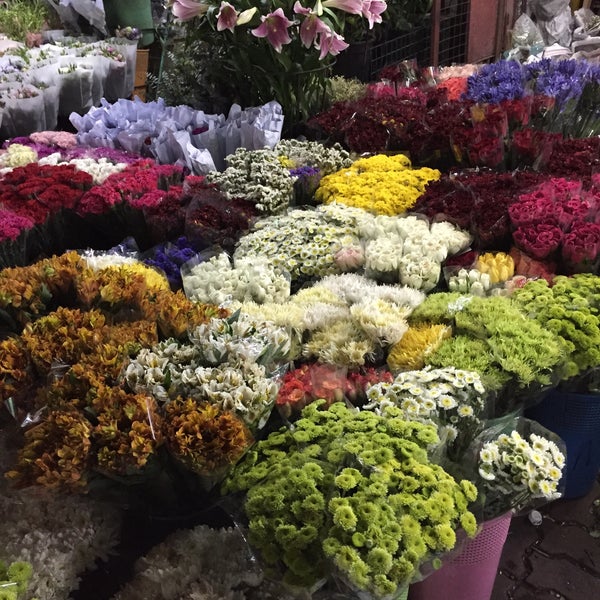 Dangwa Flower Market Operating Hours | Best Flower Site