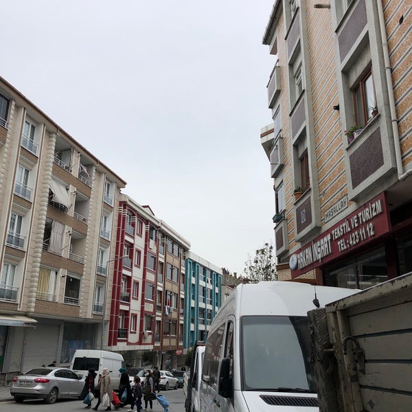belgesel eşekler