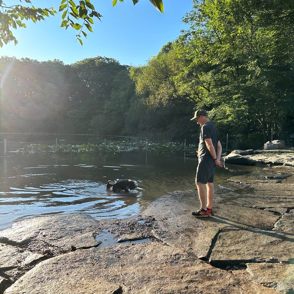 Prospect Park Dog Beach Prospect Park 8 tips from 1181 visitors