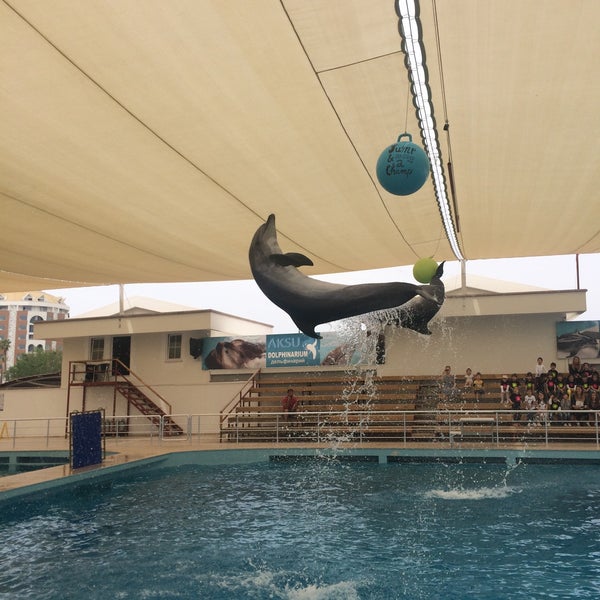Foto tirada no(a) Antalya Aksu Dolphinarium por Bilal K. em 5/2/2016