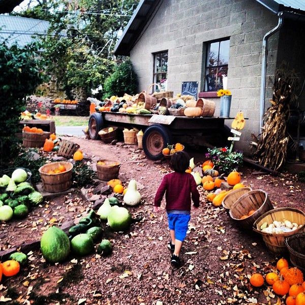 10/23/2013에 Elizabeth A.님이 Milk House Farm Market에서 찍은 사진