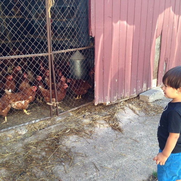 8/2/2013 tarihinde Elizabeth A.ziyaretçi tarafından Milk House Farm Market'de çekilen fotoğraf