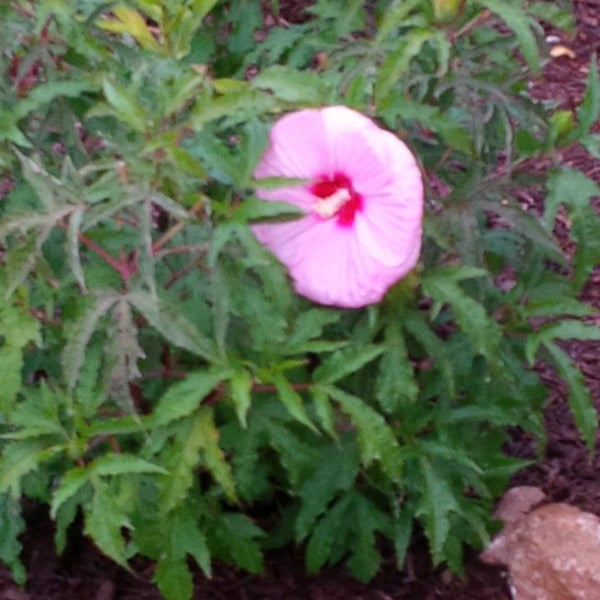 Photos at Ramada Plaza Omaha Hotel & Convention Center and CoCo Key