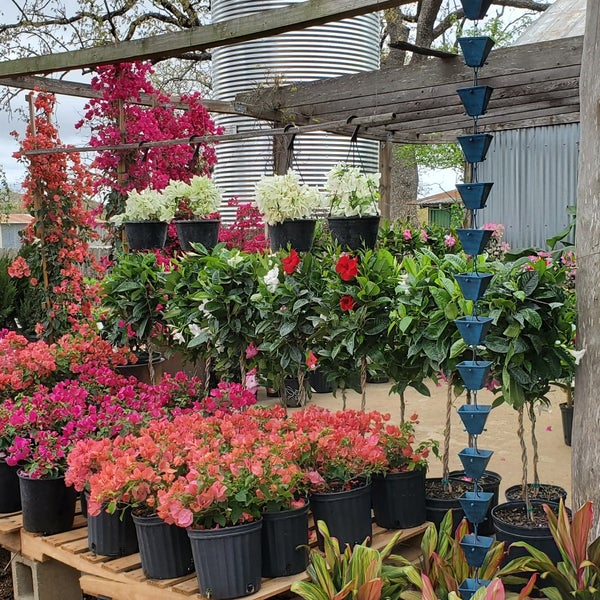 Friendly Natives Nursery Fredericksburg, TX