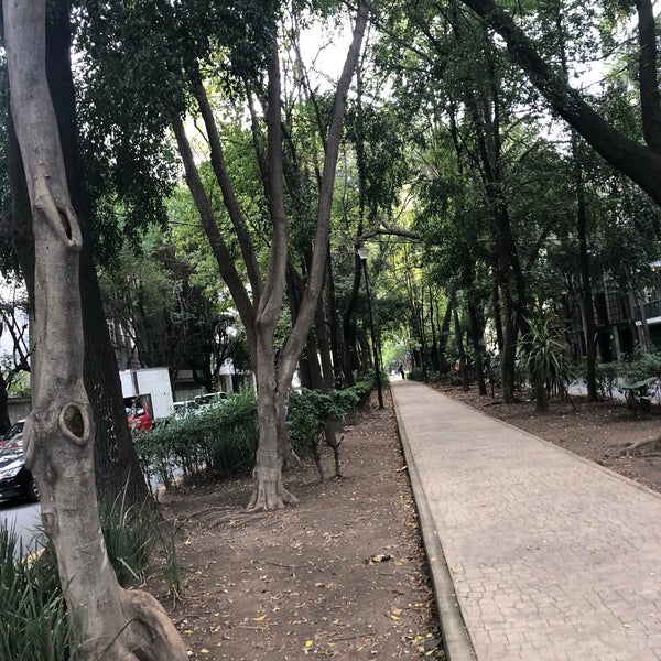 Photo taken at Colonia Condesa by Jorge L. on 11/1/2018