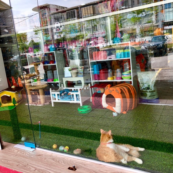 Photos At Dd Bangi Petshop Pet Service