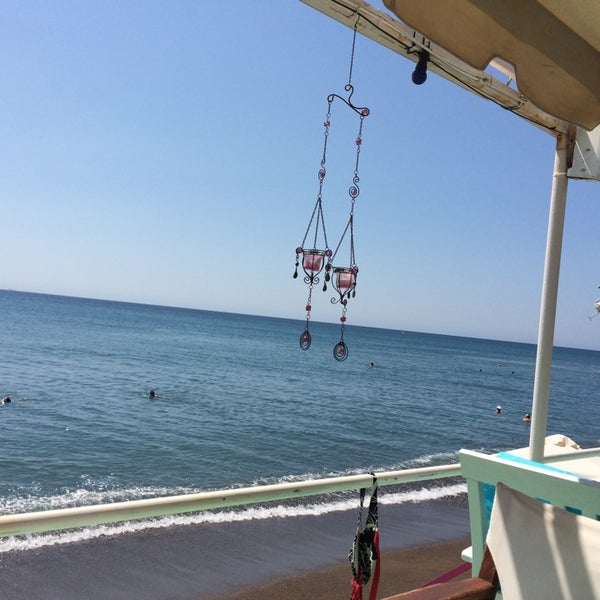 Photos At Flamingo Beach Bar 4 Tips