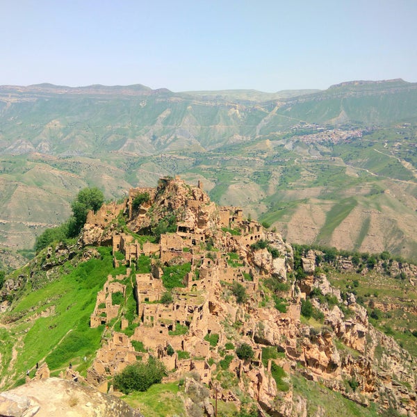 Чай Гамсутль