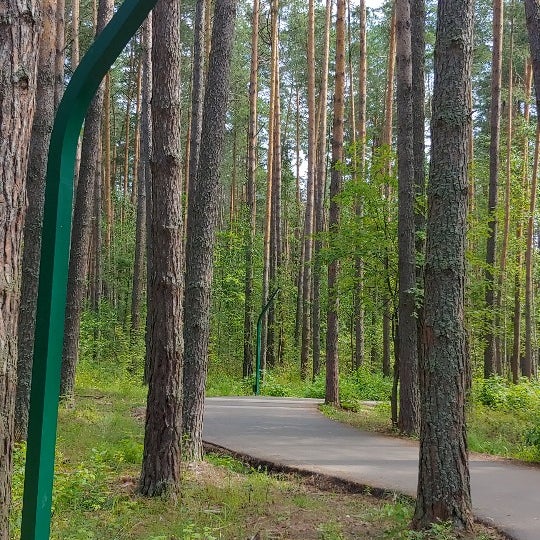 Тропа здоровья оренбург набережная. Оренбург набережная урала сейчас. Тропа здоровья снежинск победа. Тропа здоровья оренбург набережная. Баскетбольная площадка на набережной оренбург.