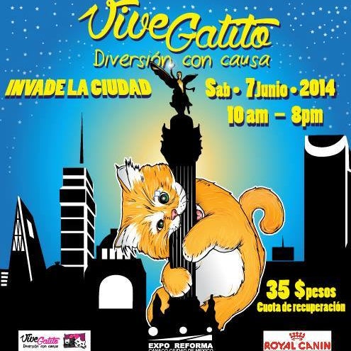 Este sábado 7 de junio estaremos en #ViveGatito ¡Los esperamos!