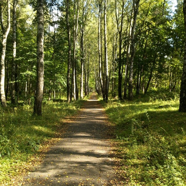 Парк мазурино в витебске карта