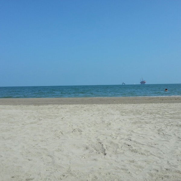 Photos At Spiaggia Libera Per Cani Di Lido Di Dante 4 Tips