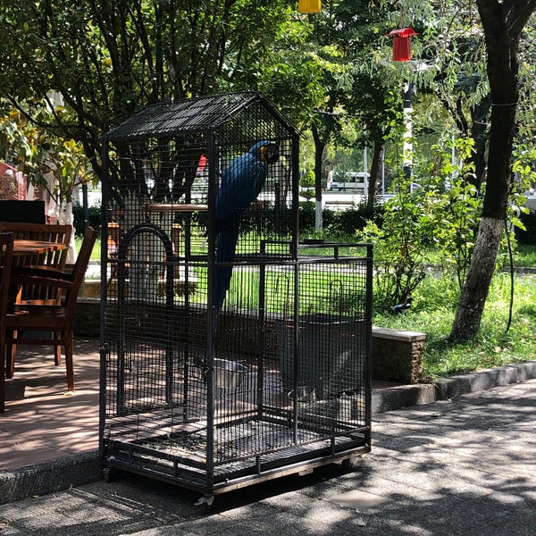 รูปภาพถ่ายที่ Kuğulu Park Cafe &amp; Restaurant โดย Olga O. เมื่อ 9/6/2020