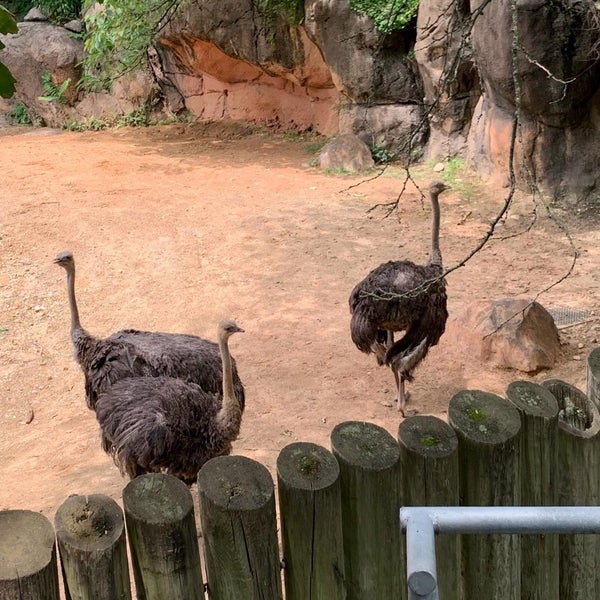 Foto tirada no(a) Maryland Zoo in Baltimore por LEVEL 13 em 7/11/2021