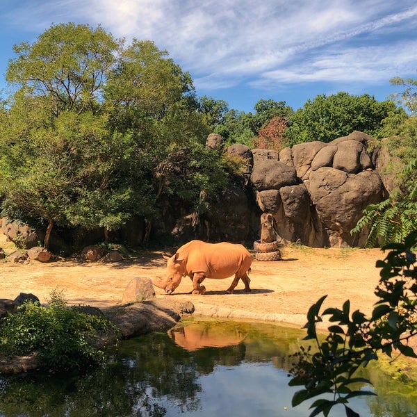 Foto diambil di Maryland Zoo in Baltimore oleh LEVEL 13 pada 9/5/2020